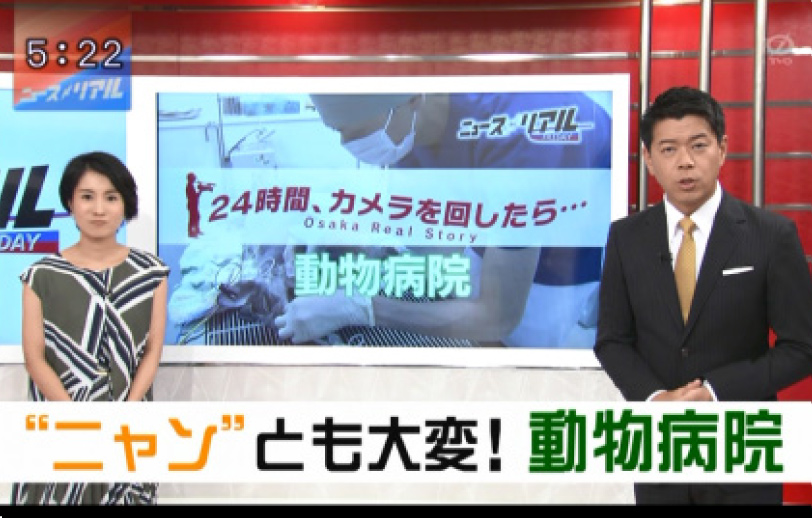 テレビ大阪取材画像